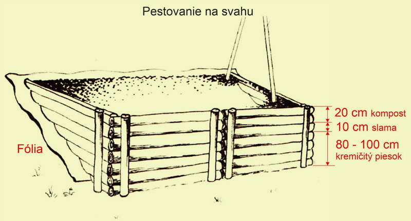 pestovanie na svahu svetelny koren 01