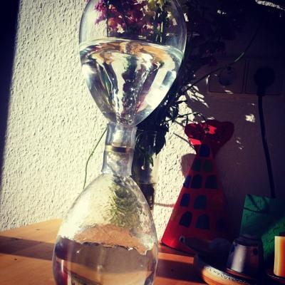 Viric Vody 16