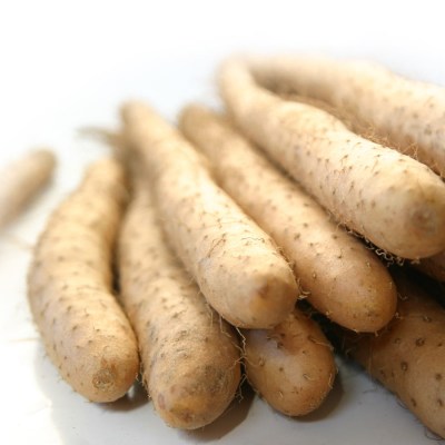 svetelny-koren-abio-bio-05